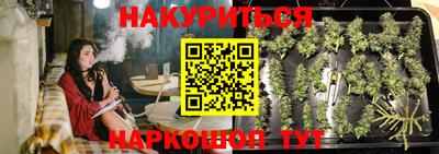 прущие грибы Ставрополь
