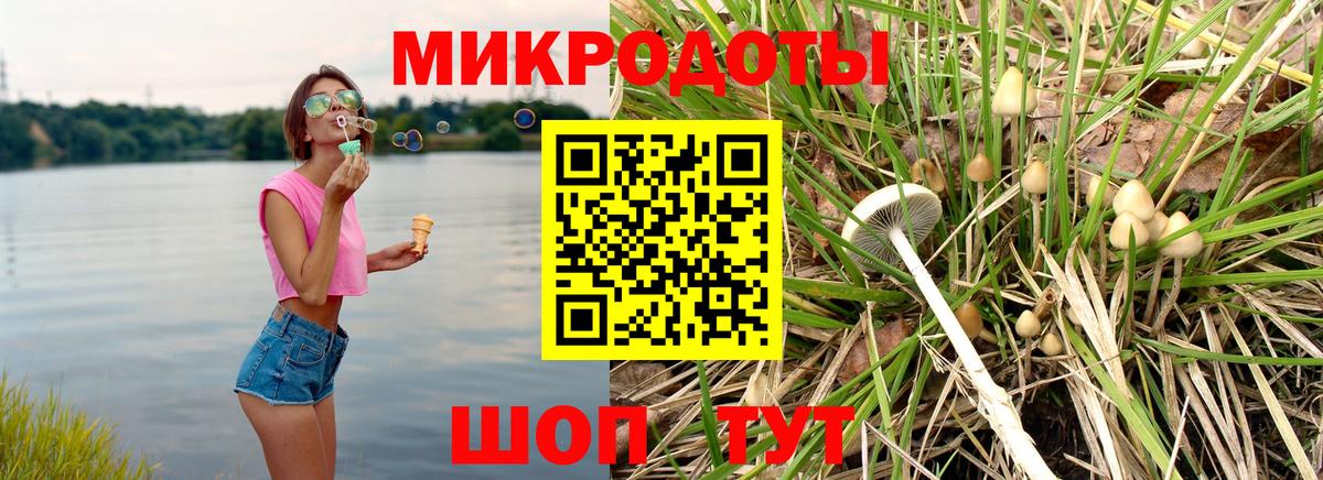 Норильск  Галлюциногенные грибы прущие грибы  Вход с VPN 